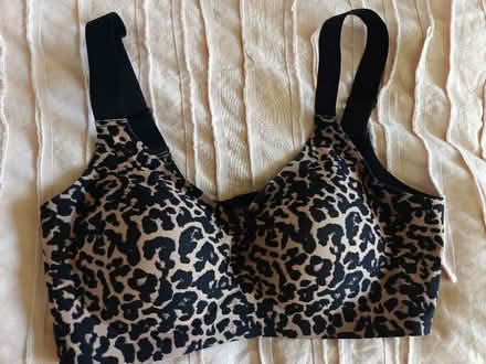 Photo of free New Bra #2 (Near 92nd and Sheridan) #1