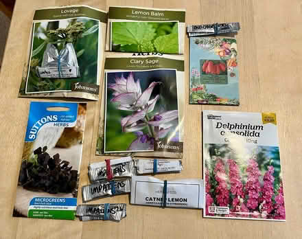 Photo of free Seeds (Hatfield AL10) #1