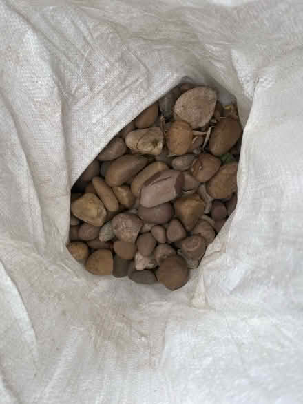 Photo of free Pebbles & stones (Wollaton NG9) #3