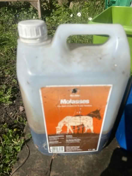 Photo of free shed clearance (Freshford BA2) #1