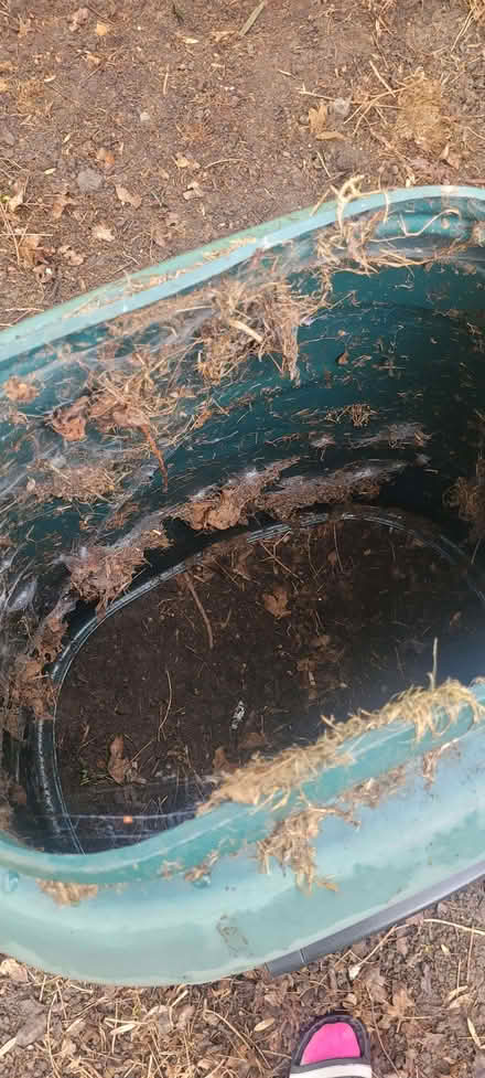 Photo of free Garden Compost Bin (BD4) #2