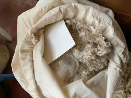 Photo of free Three bags of hand spinning fleeces (Wivenhoe CO7) #2