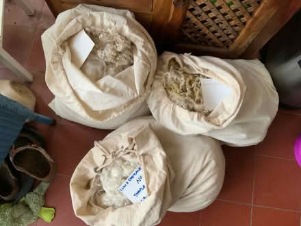 Photo of free Three bags of hand spinning fleeces (Wivenhoe CO7) #1