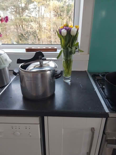 Photo of free Stainless steel pressure cooker (Broadstone BH18) #1