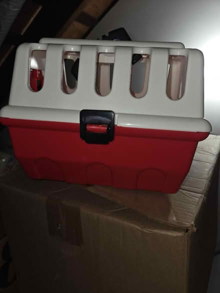 Photo of free Kenle (Flemington) #1