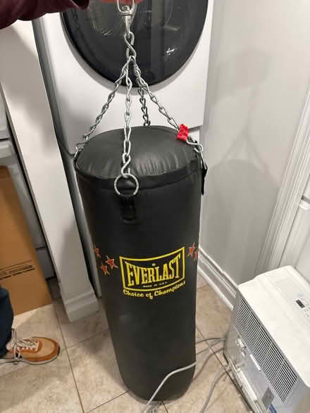 Photo of free Everlast boxing bag (Park View - Colombia Heights) #1