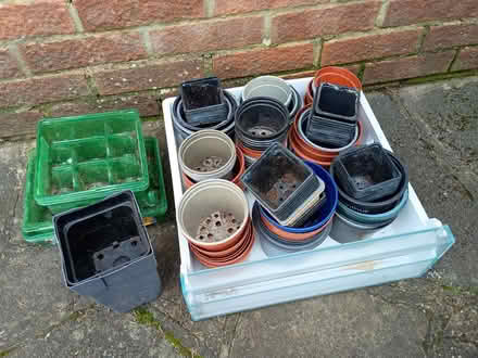 Photo of free Plastic flower pots (Welling DA16) #1