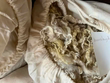 Photo of free Three bags of hand spinning fleeces (Wivenhoe CO7) #3