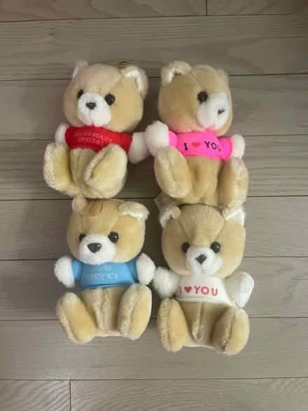 Photo of free Small teddy bears with sayings (Kennedy/16th in Markham) #1