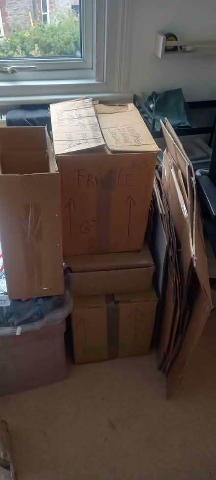 Photo of free Moving Cardboard Boxes & foam (Fishponds/Downend BS16) #2