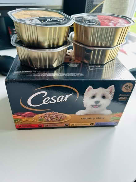 Photo of free Cesar Dog Food (Chessington) #1