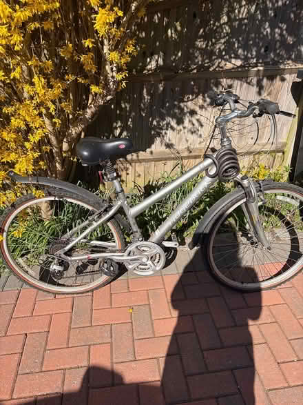 Photo of free Ladies bike (Wokingham RG41) #1