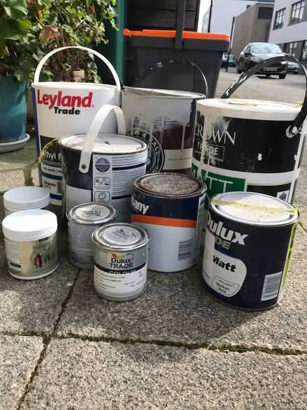 Photo of free Old paints (New England Quarter BN1) #2