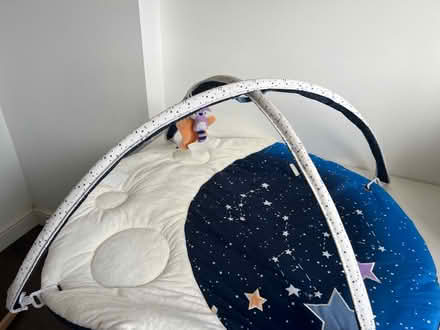 Photo of free Baby Activity Gym / Tummy Time Mat (Downham BR1) #3