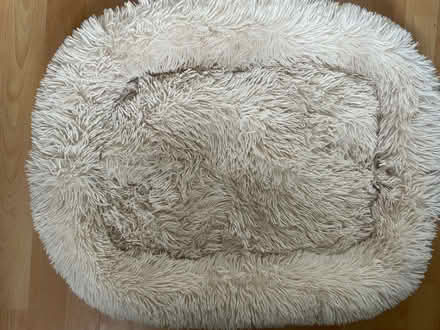 Photo of free Dog bed (Fairwater CF5) #1