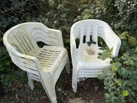 Photo of free 8 plastic garden chairs (Formby L37) #1