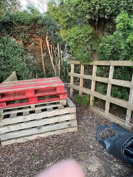 Photo of free Pallets (Langton Green, Tunbridge Wells) #1