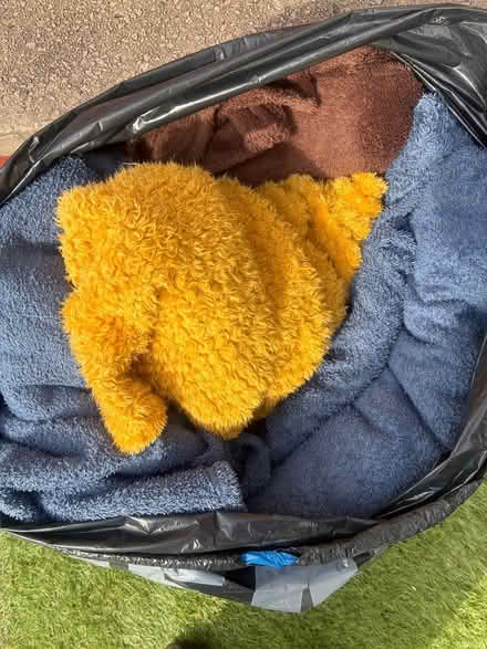 Photo of free Dog fleece blankets mixed sized (Stockport SK1) #2