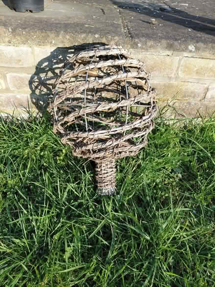 Photo of free Willow sphere (New Greens AL3) #1