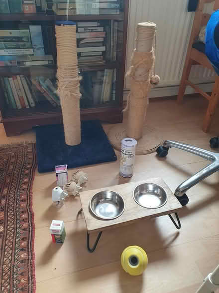 Photo of free Cat scratching posts (Lewes, BN7) #1