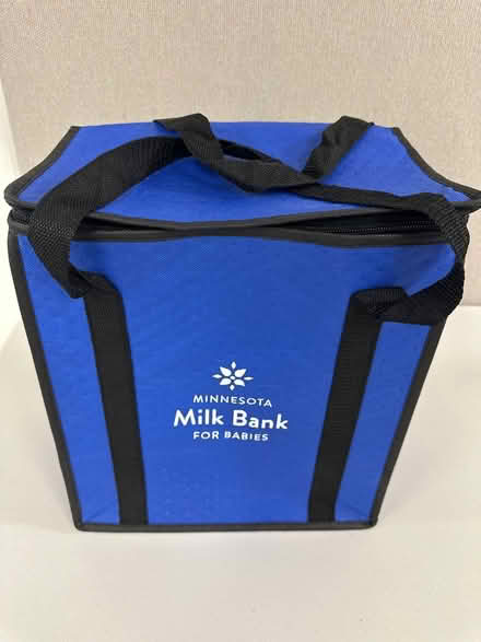 Photo of free Insulated, zip top grocery bag (Belmont, MA) #1