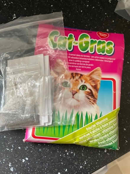 Photo of free Cat grass and cat nip seeds (Pin Green Industrial Area SG1) #1