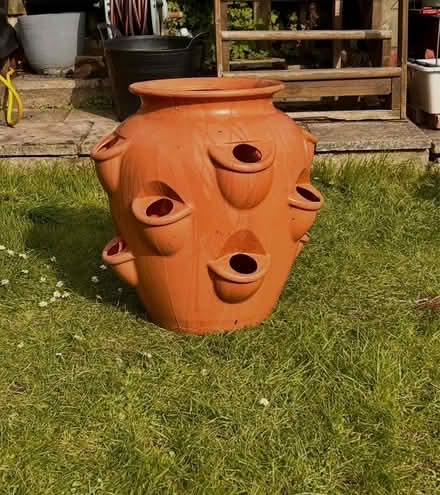 Photo of free Strawberry Planter (Brentwood CM14) #1
