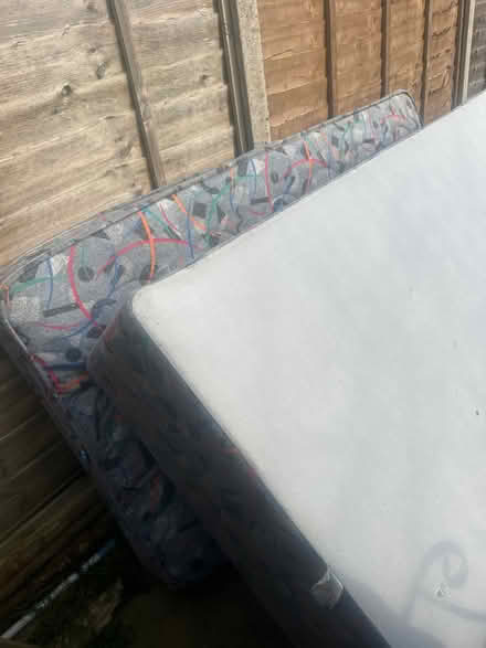 Photo of free single Bed (SG20NW SG2) #2