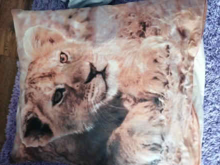 Photo of free Large cushion (Presteigne LD8) #4