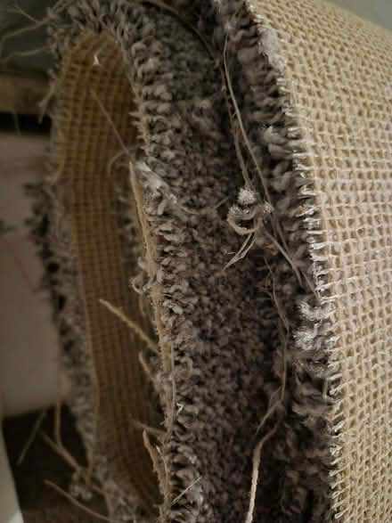 Photo of free Roll of Carpet (Old Farm Park MK7) #2