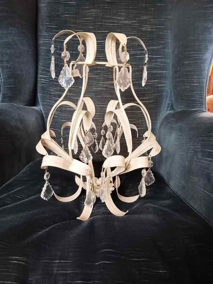 Photo of free Decorative Lightshade (Newton Abbot TQ12) #2