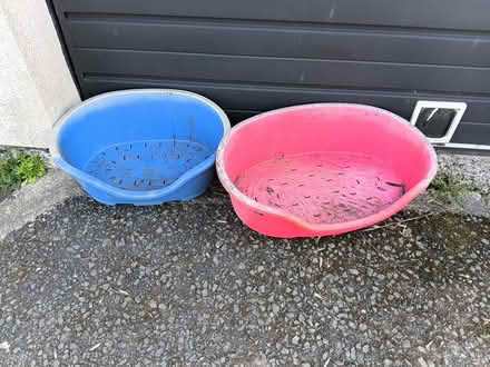 Photo of free 2 dog beds (Totnes follaton) #1