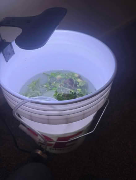 Photo of Fish Tank (Little lever BL3) #2