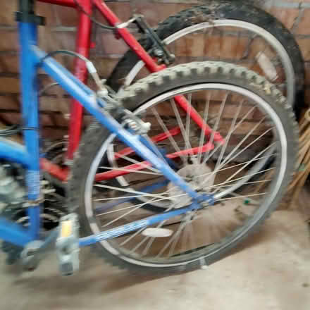 Photo of free Two adults bikes (Denstone, Uttoxeter. ST14) #4