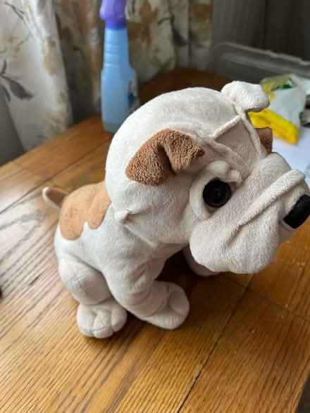 Photo of free Toy dog (Newport Pagnell, MK16) #3