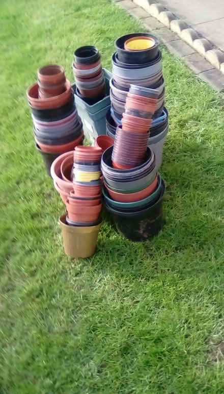 Photo of free Plant trays and plant pots (Priorslee TF2) #2