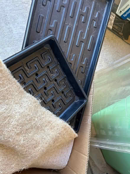 Photo of free Microgreen growing trays (Near Grand and 111th Ave) #1