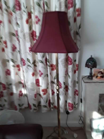 Photo of free Standard lamp and shade (Bexhill TN39) #1