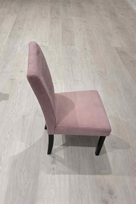 Photo of free 4 velvet dining chairs + cover (AL4) #3