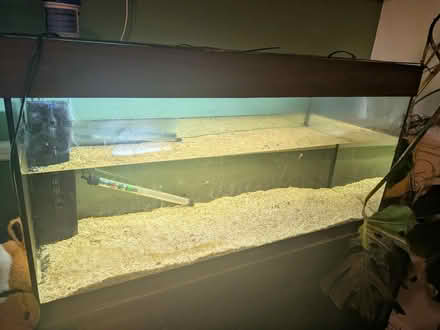 Photo of free Fish tank (Kirklees HD9) #1
