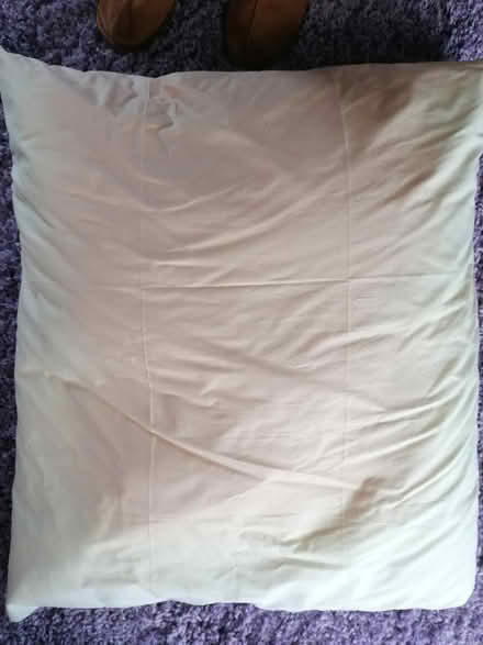 Photo of free Large cushion (Presteigne LD8) #2