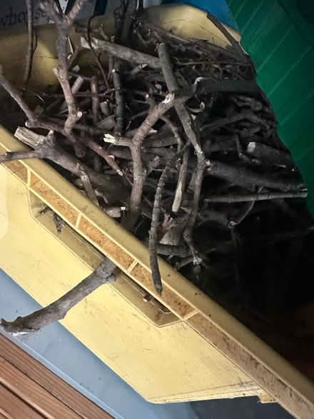 Photo of free Dried wood for log burner (BD18 Wrose) #2