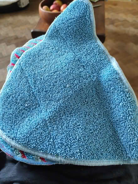 Photo of free 4 microfibre steam cleaner mop replacements. (Cowley OX4) #1