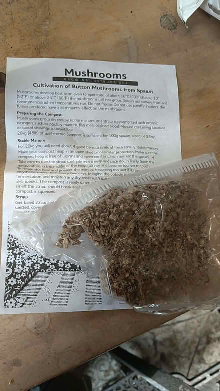 Photo of free Mushroom growing spawn (Woodingdean BN2) #1