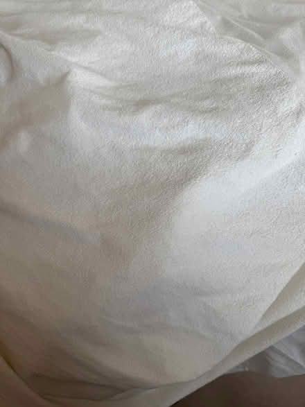 Photo of free 2 mattress protectors (Westcliff SS0) #2