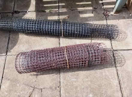 Photo of free Garden trellis netting (Ip2) #1