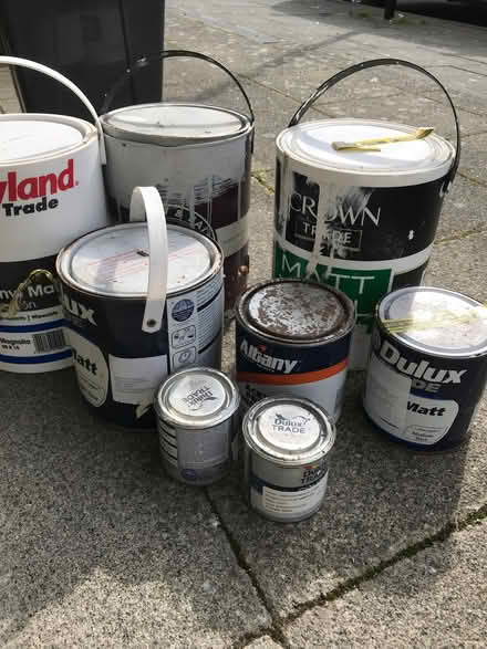 Photo of free Old paints (New England Quarter BN1) #1