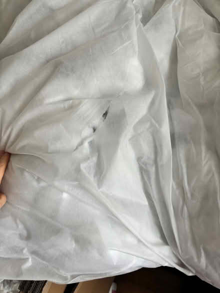 Photo of free XL dog bed inner/stuffing (Chatham) #2