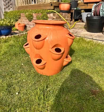 Photo of free Strawberry Planter (Brentwood CM14) #2