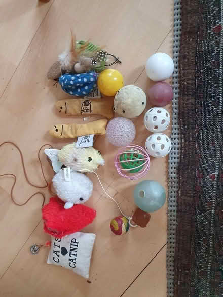Photo of free Cat (or dog) toys assortment (Lewes, BN7) #1